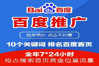 百度推广优化策略：成功案例解析